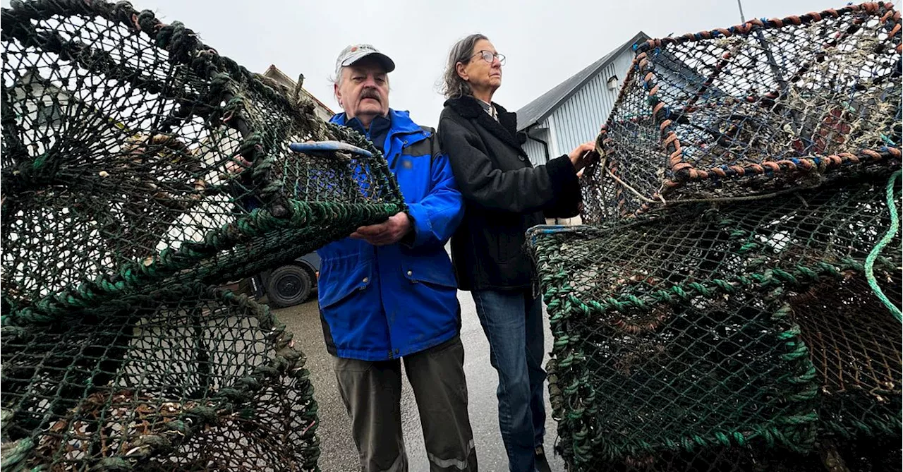 Spökfiskeprojektet i Kattegatt: 62 burar uppfiskade på 40 timmar