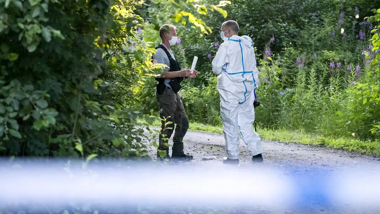 Mannen släppt ur häkte i mordutredningen i Malmö
