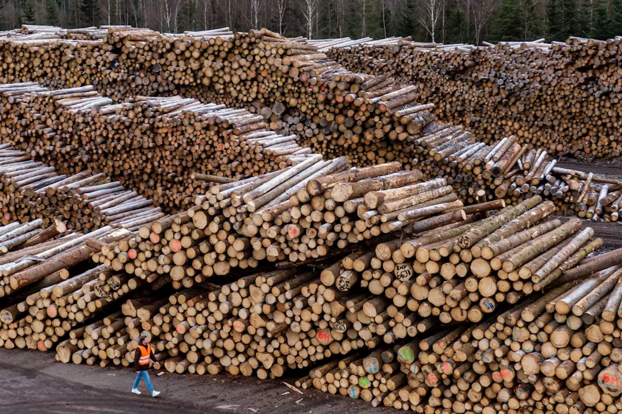 Rettenmeier übernimmt Ziegler Holzverarbeitung und rettet Hunderte Arbeitsplätze