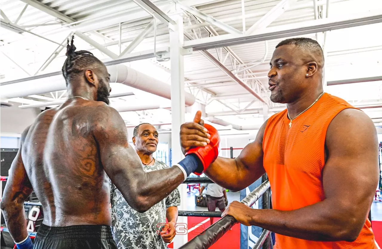 Could Ngannou vs Wilder Mixed Rules Fight Happen?