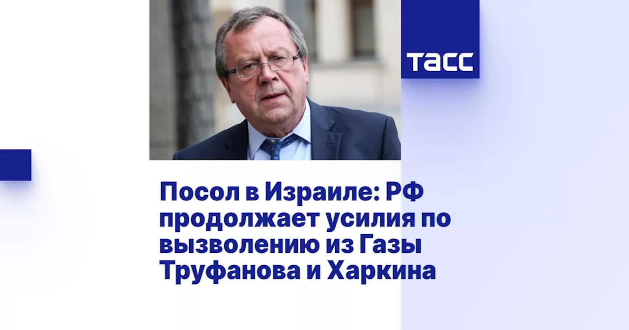 Посол в Израиле: РФ продолжает усилия по вызволению из Газы Труфанова и Харкина