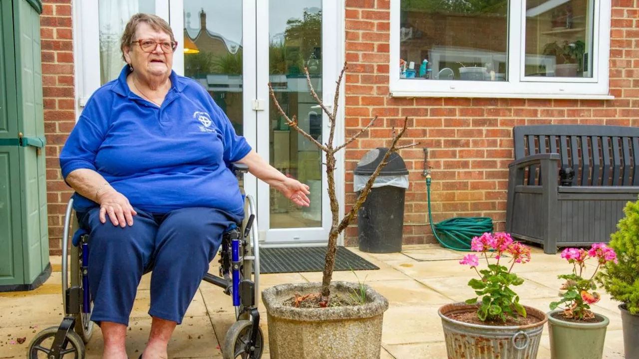 The Struggles of Wheelchair Users in Finding Accessible Housing