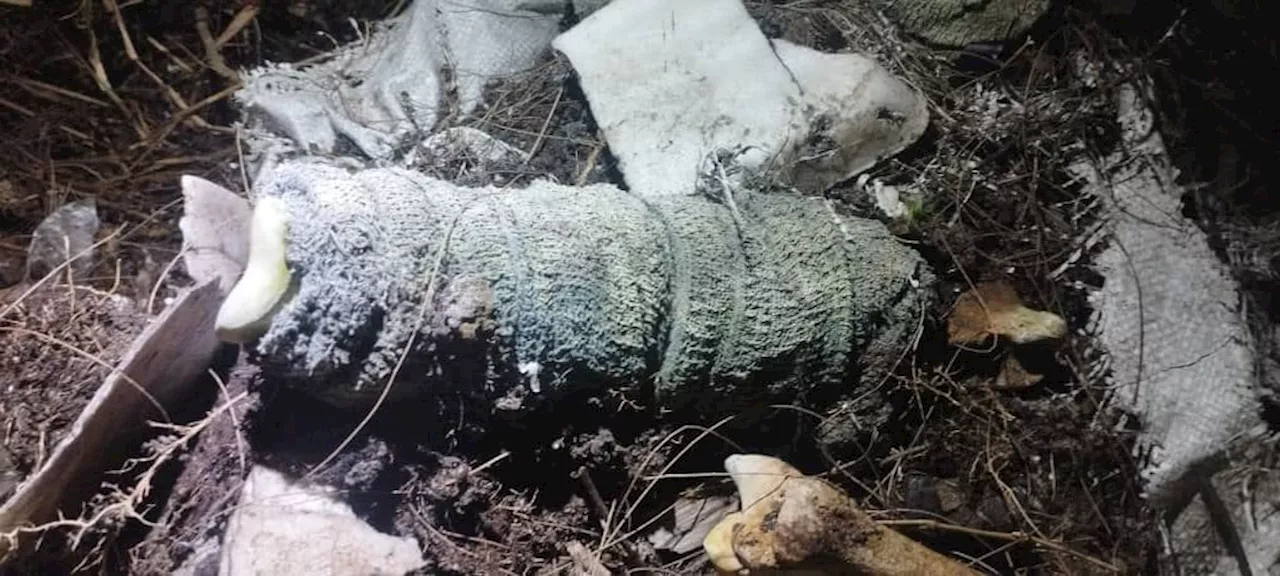 Human Skeleton Found on Batu Buruk 2 Beach in Kuala Terengganu