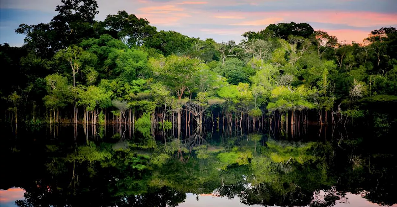 COP 30: Brasil assume liderança em negociações para combater mudanças climáticas