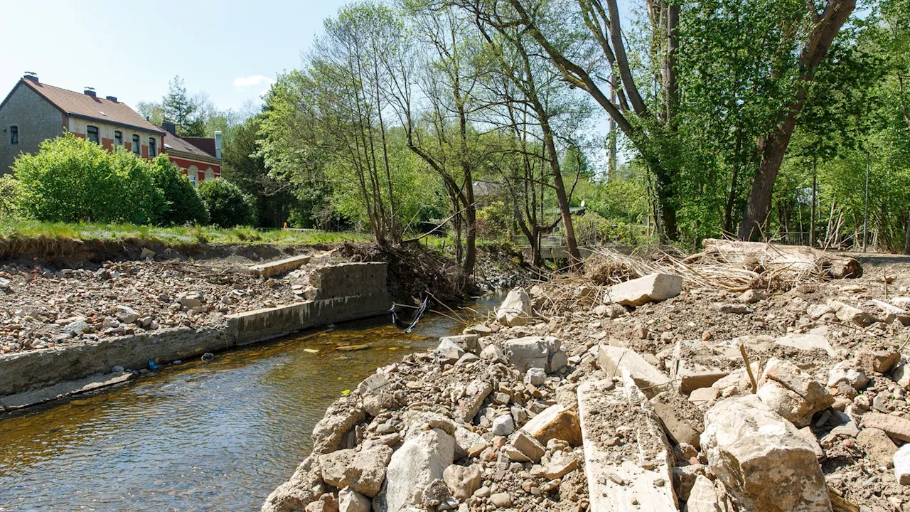 Moos-Fund: Verzögerung beim Hochwasserschutz in Roetgen?