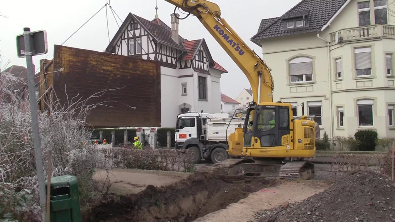 Nach Tornado in Lippstadt: Zerstörte Allee wird wieder aufgebaut