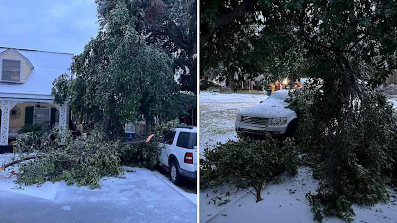 Glynn County Begins Storm Debris Collection