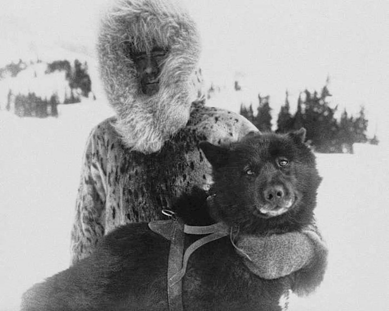 Mushers and dogs braved a horrific Alaska winter to deliver lifesaving serum 100 years ago