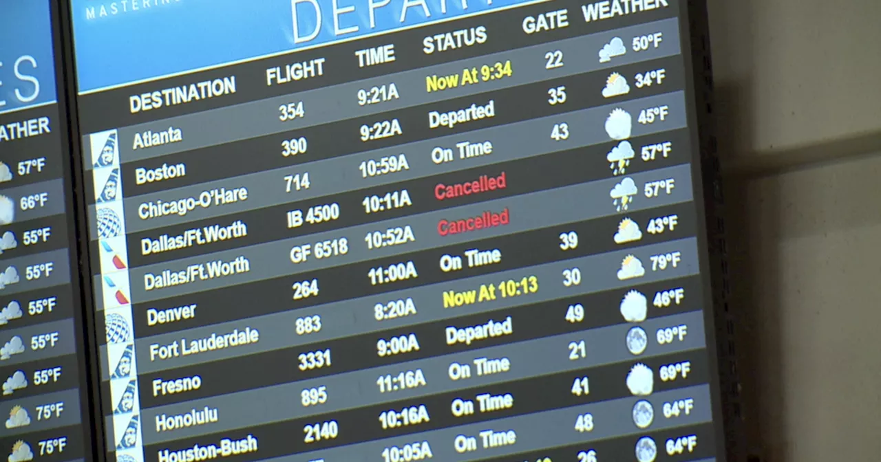 San Diego Airport Fog Disrupts Travel Plans for Thousands