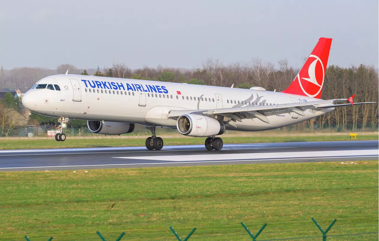 Punaises de Lit : L'Angoisse s'Installe dans les Avions Turkish Airlines