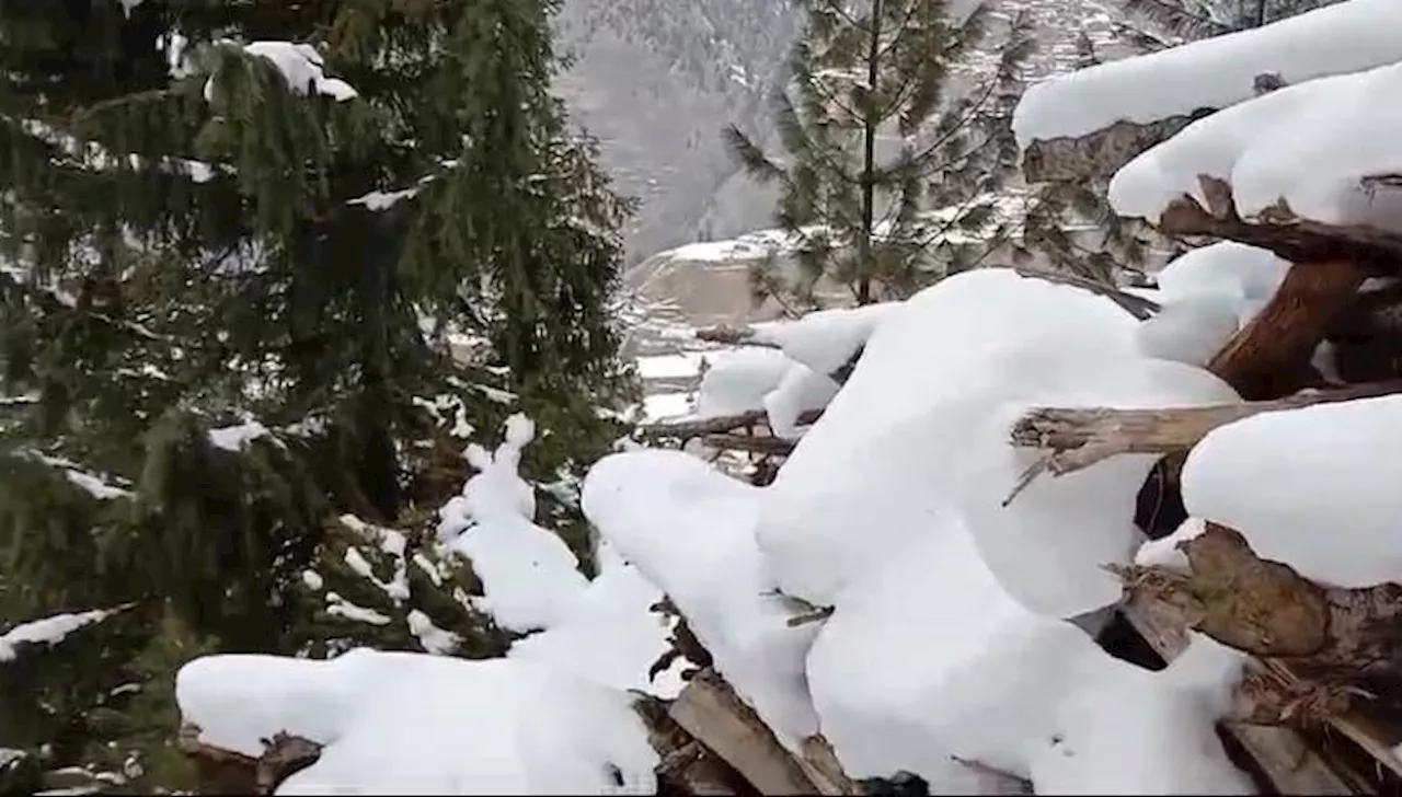 بر سردی میں بارش اور برفباری کا سلسلہ جاری، لیپا ویلی میں سرک ٹریفک کھول دیا گیا