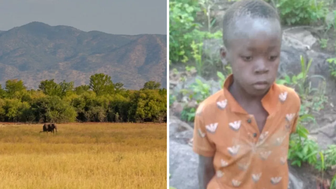 Boy Found Alive After Five Days Lost in Zimbabwe Game Park