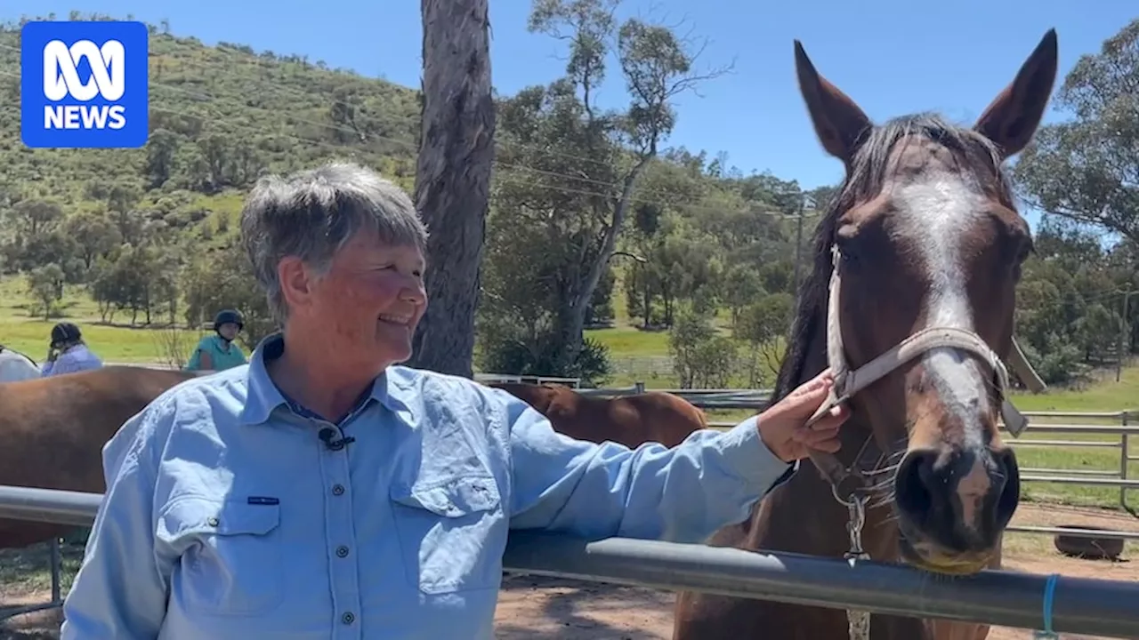 Canberra Bushfires: Remembering the Impact on Animals 20 Years On