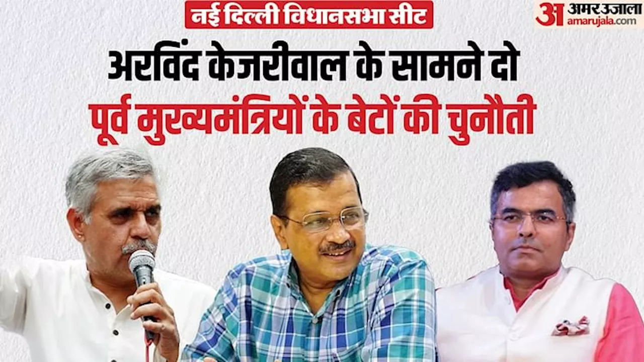 दिल्ली विधानसभा चुनाव में नई दिल्ली सीट 'हॉट सीट' बन गया