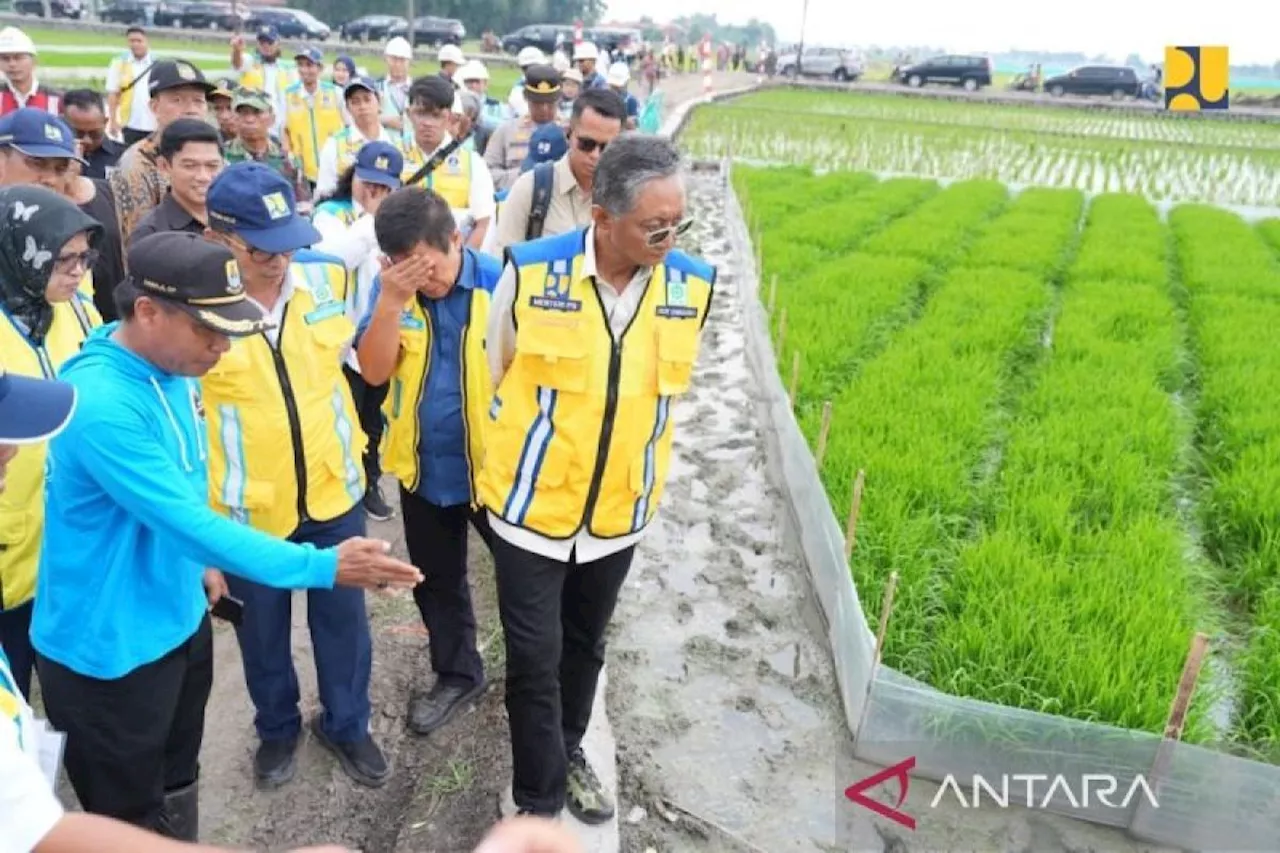 IPHA Berhasil di Cirebon, Dody Hanggodo: Akan Diterapkan di Seluruh Indonesia