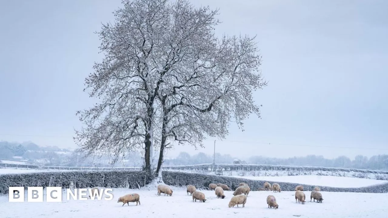 Ireland Braces for Cold Snap with Snow and Ice Warnings