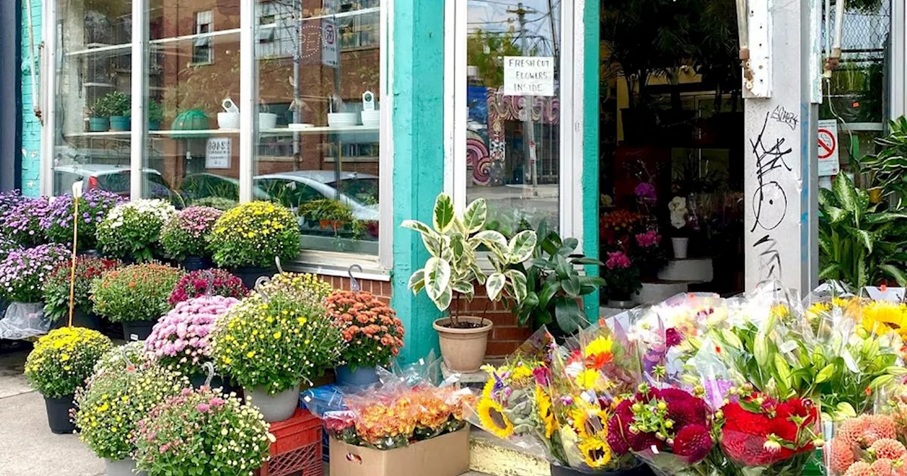 Beloved Toronto Flower Shop Closes after 60 Years