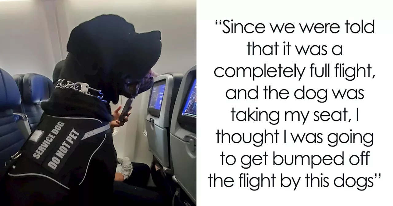 Passenger Forced to Give Up Seat to Enormous Service Dog on Flight