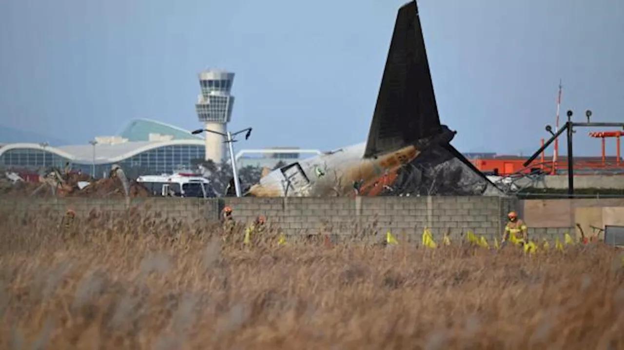 Sorte bokse kan afsløre årsagen til flystyrt i Sydkorea