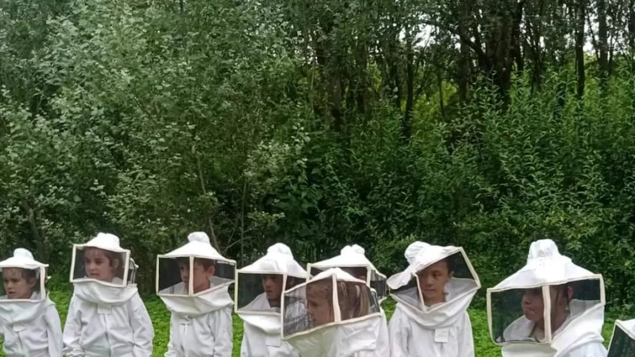 Il parco sognato dai bambini dove si va in canoa (e si allevano le api)