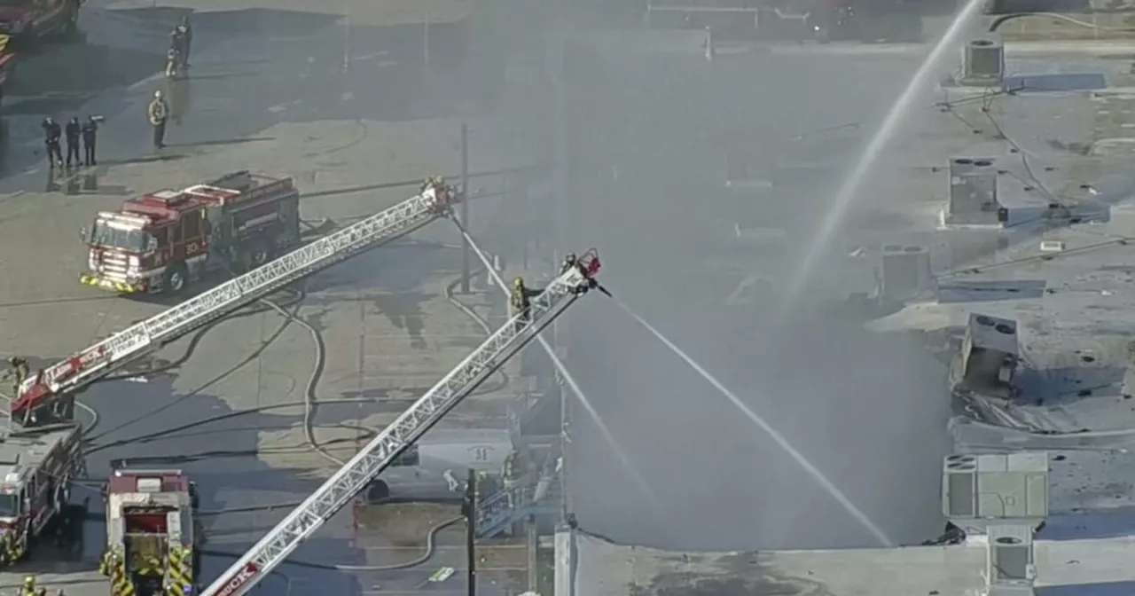 Hundreds of Animals Perish in Dallas Shopping Center Fire