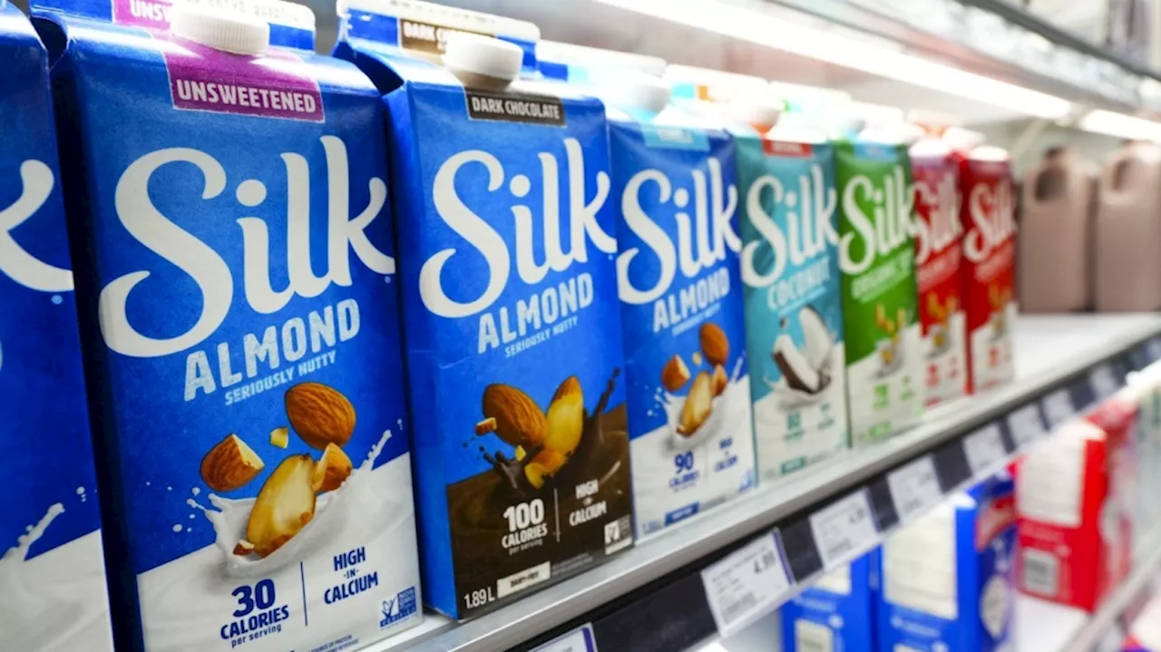 Plant-Based Milk Company Files for Creditor Protection Amid Listeria Outbreak