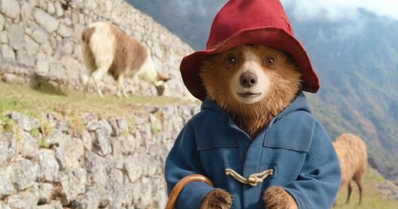 Paddington 4 Future Uncertain Despite 'Paddington in Peru' Box Office Success