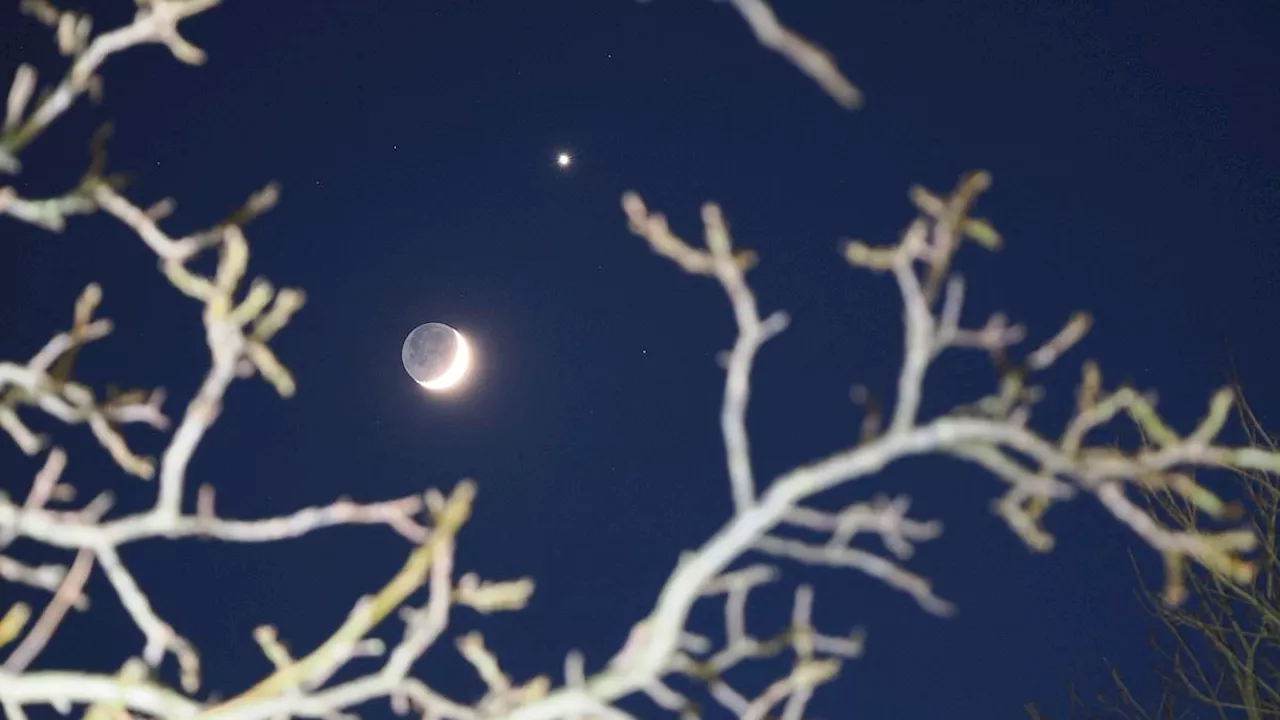 Venus Dazzles Alongside Moon in Rare Cosmic Phenomenon