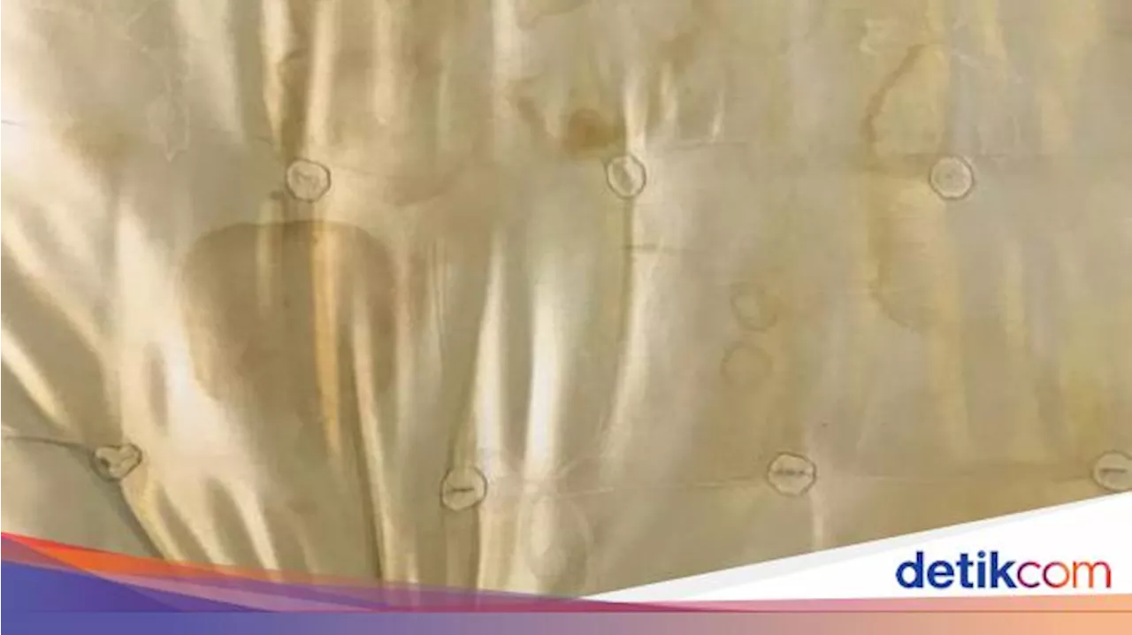 Cara Membersihkan Kasur dari Bekas Ompol