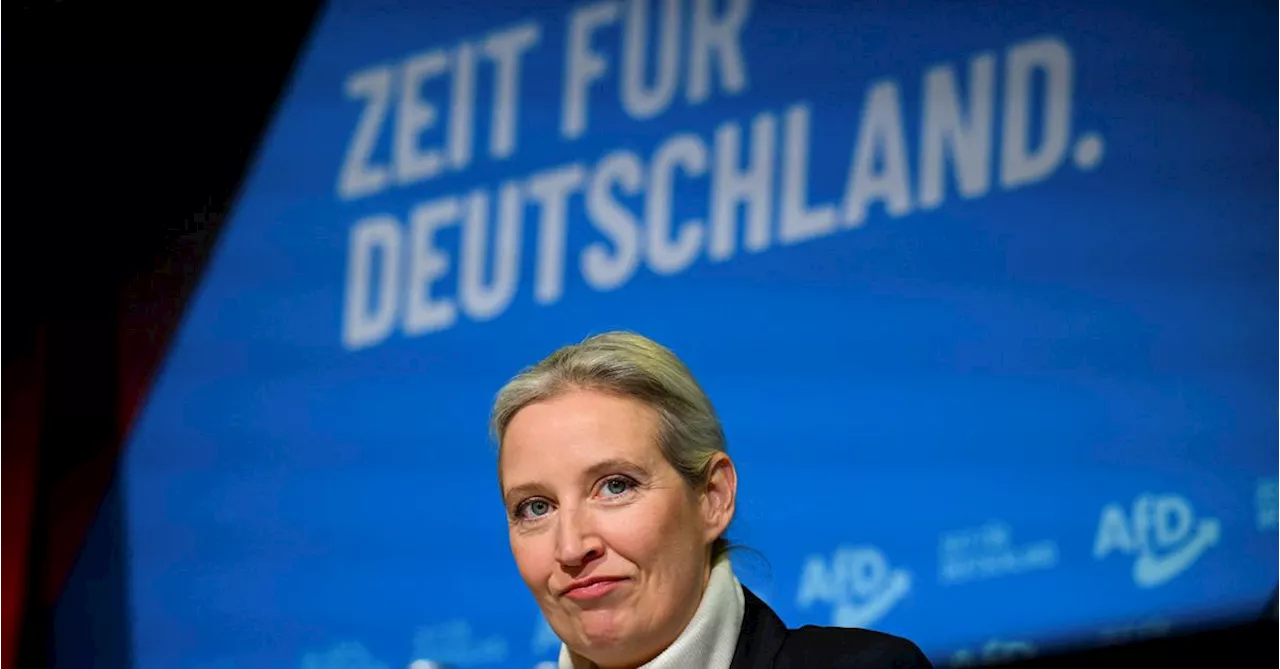 AfD-Chefin Weidel diskutiert mit Elon Musk auf X