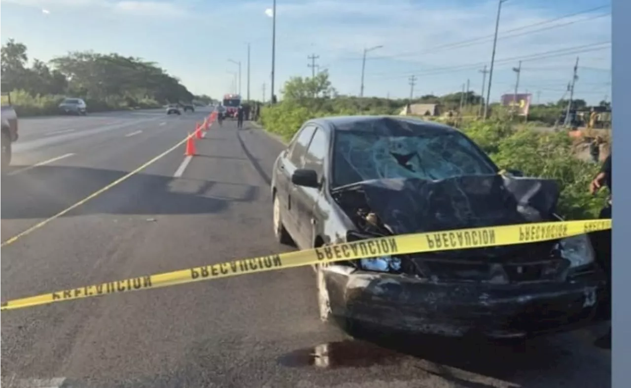 PAN busca endurecer sanciones para infractores vehiculares ebrios; plantea hasta cinco años de cárcel