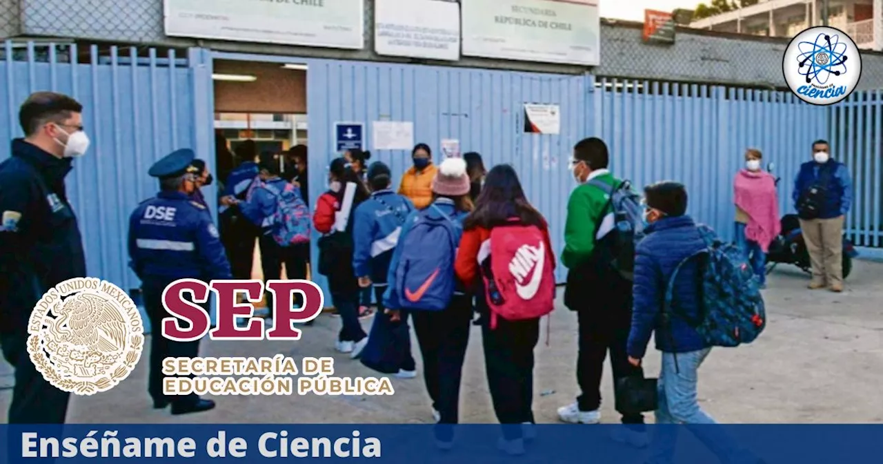 Regreso a clases: ¿Qué alumnos vuelven este lunes 6 de enero 2025 a las escuelas?