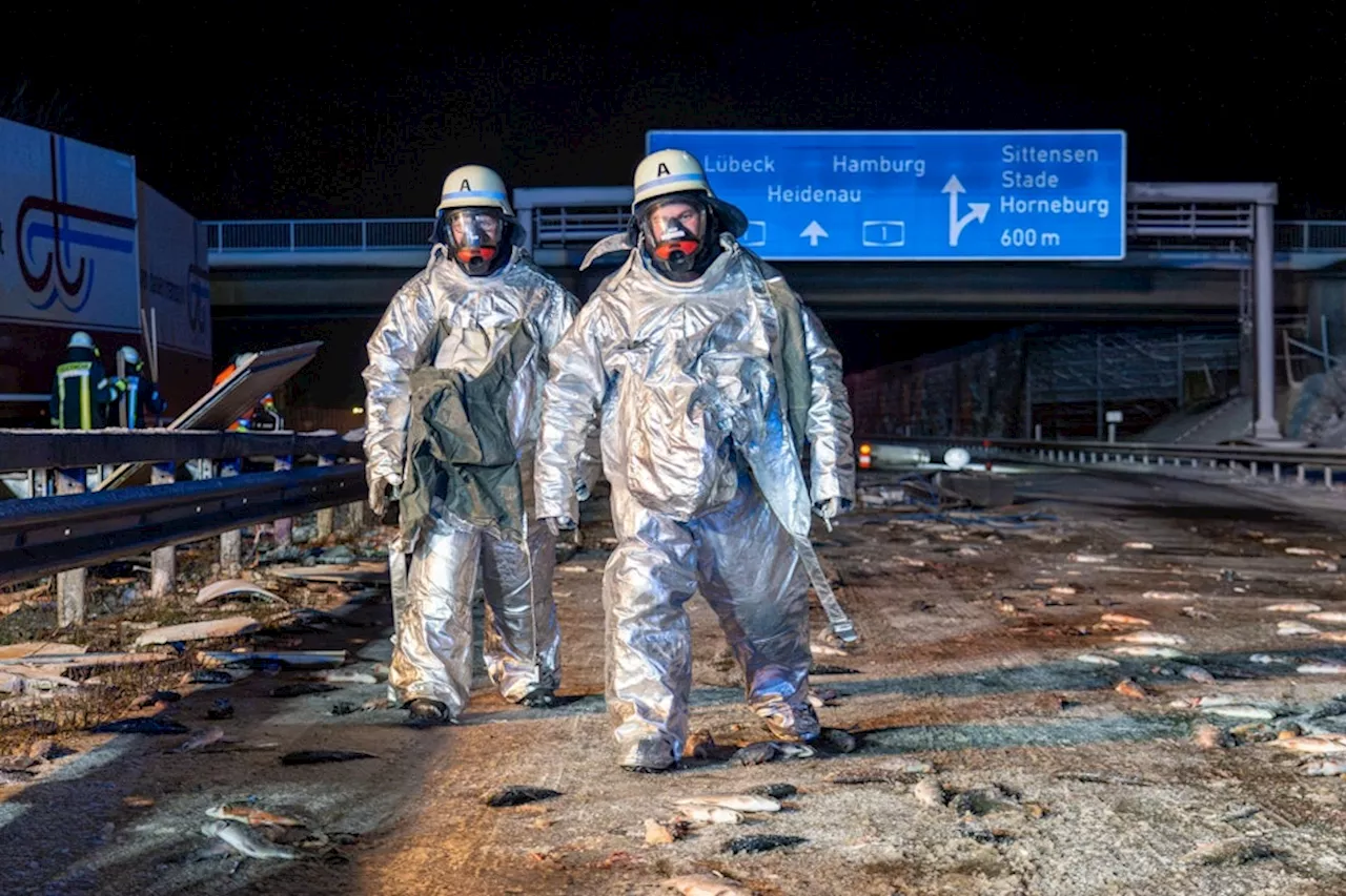 Fischtransporter Unfalls: Tausende Fische sterben, vier Menschen verletzt