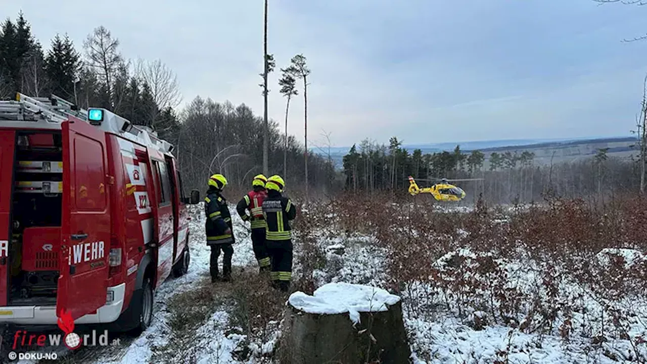 Nö: Tödlicher Forstunfall in Kirchstetten → Rettungshubschrauber-Besatzung kann Unglücksort finden