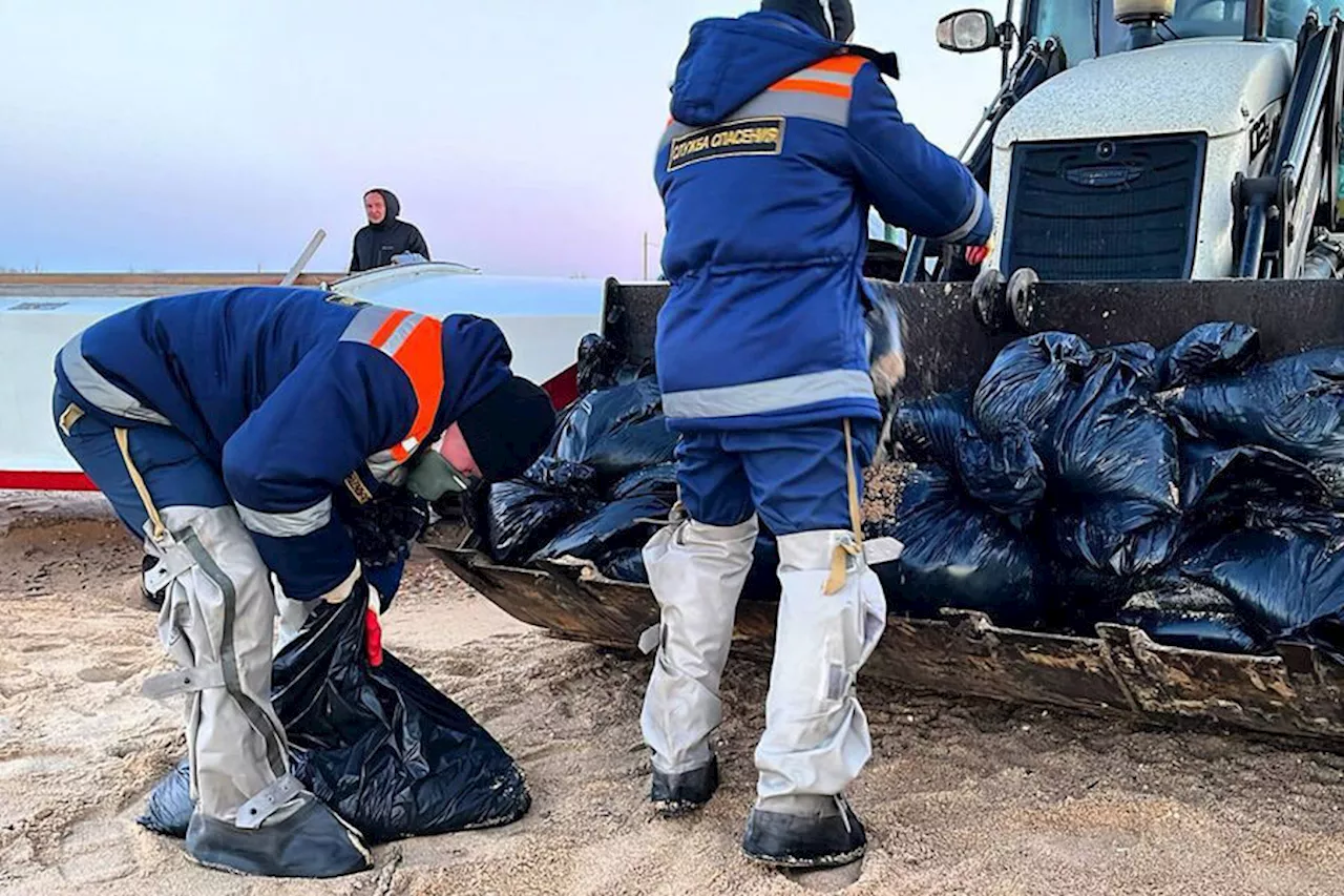 На побережье Кубани собрали почти 100 тысяч тонн загрязненного грунта