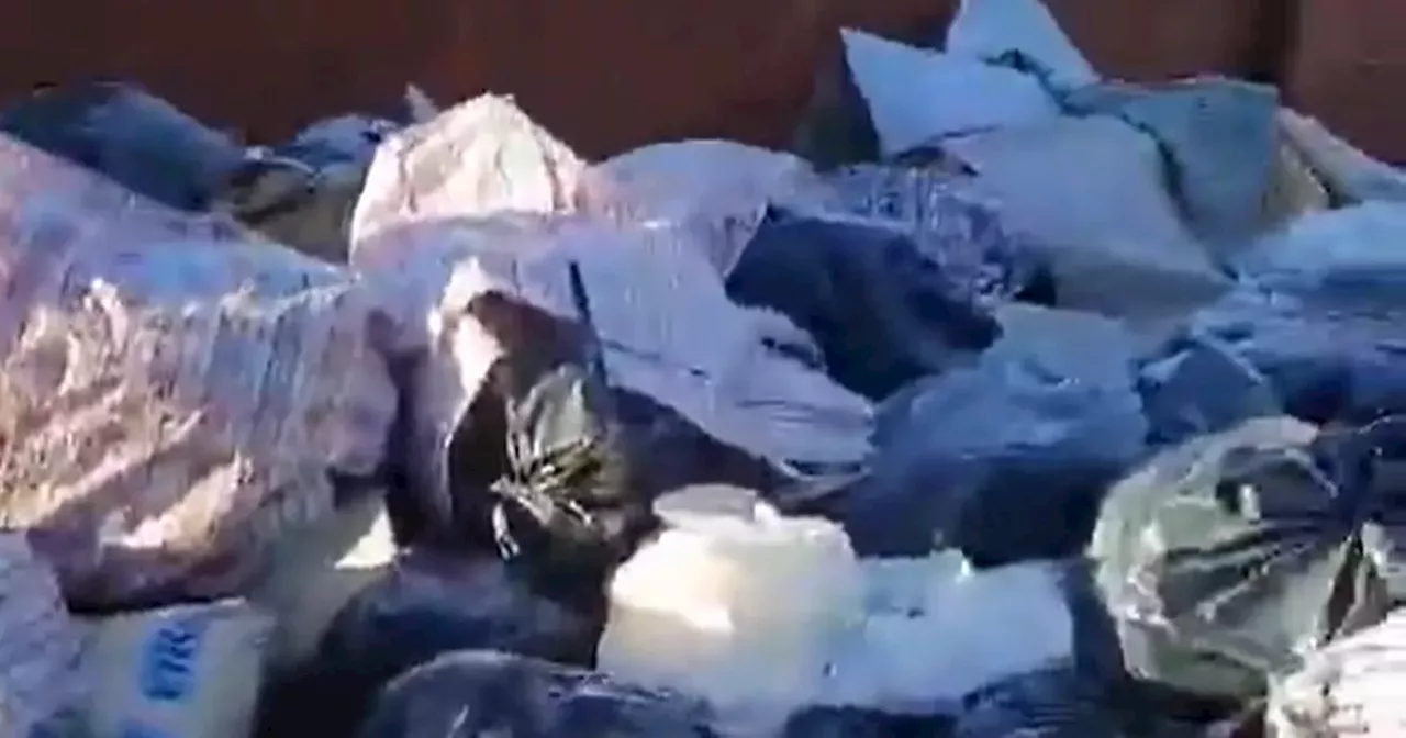 Fly-Tipping Crisis in Glasgow as Bin Collections Gap Causes Rubbish Pile-Up