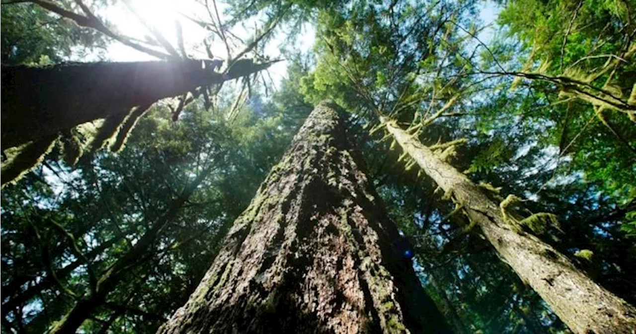 Halton Healthcare First in Canada to Prescribe Nature