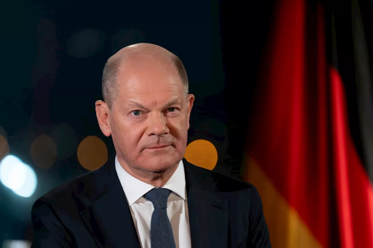 Scholz Condemns Musk's Support for AfD