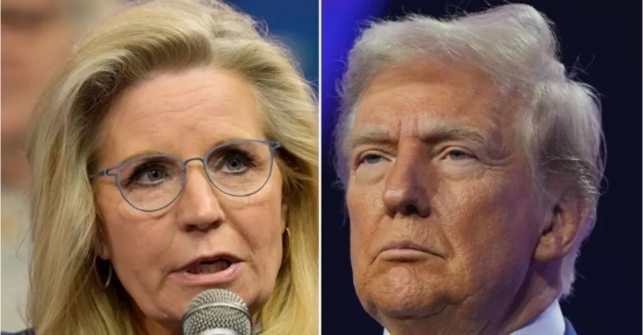 Liz Cheney Shuts Down Trump's 'Malicious Lies' With Blunt Jan. 6 Reminder