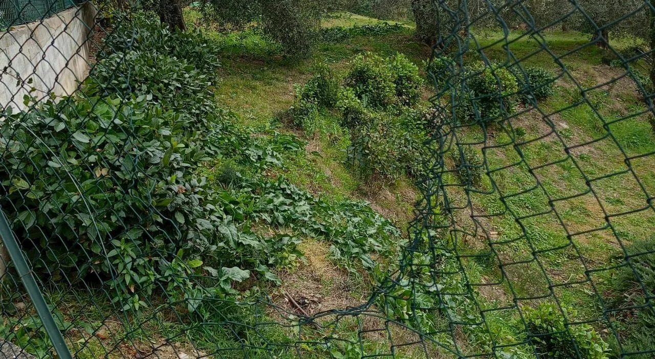 Petizione per telecamere in zona Prepo a Perugia