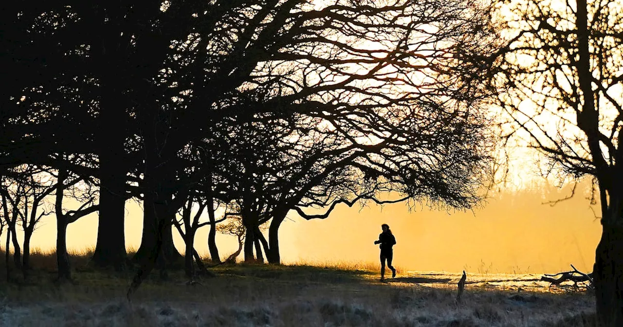 Ireland Prepares for Disruptive Cold Weather