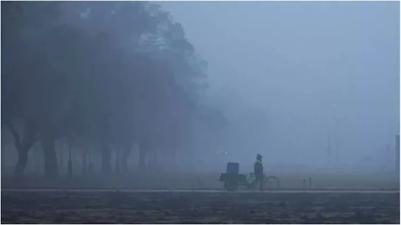 उत्तर भारत में घने कोहरे का प्रकोप, यातायात प्रभावित