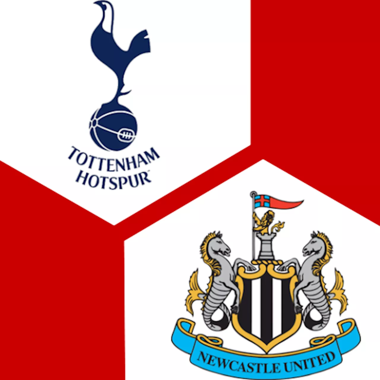 Tottenham Hotspur - Newcastle United : | 20. Spieltag