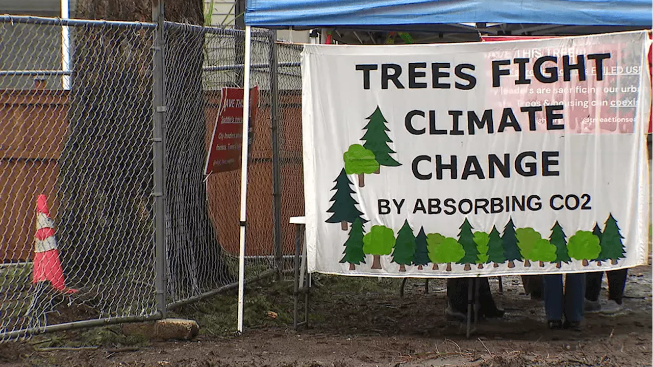 Homeowners Stand to Save Trees from Development