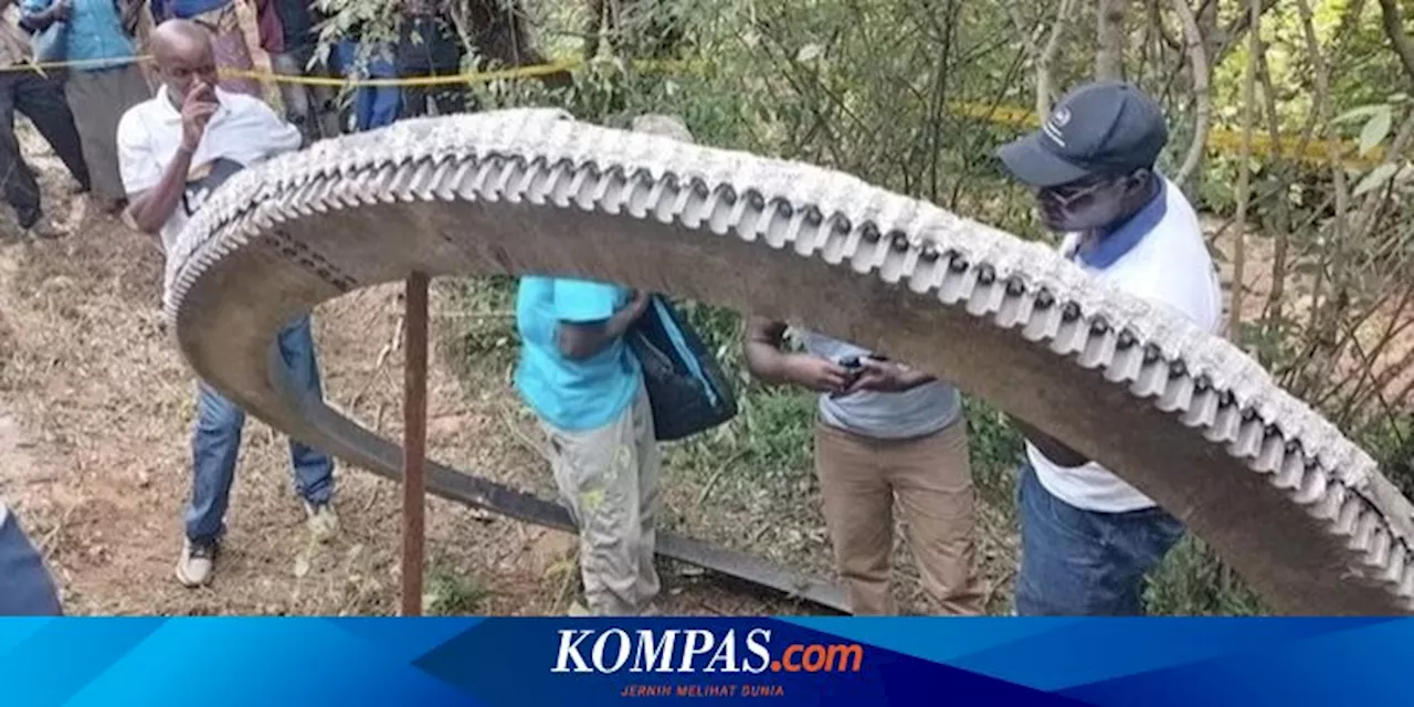 [UNIK GLOBAL] Bocah Selamat di Taman Singa | Cincin Logam Raksasa di Kenya