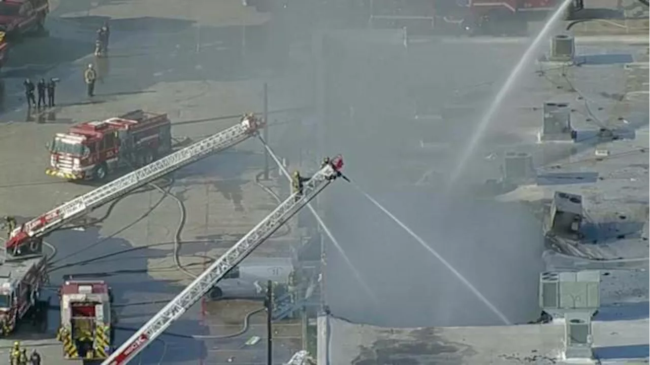 Over 500 Animals Die in Dallas Shopping Center Fire