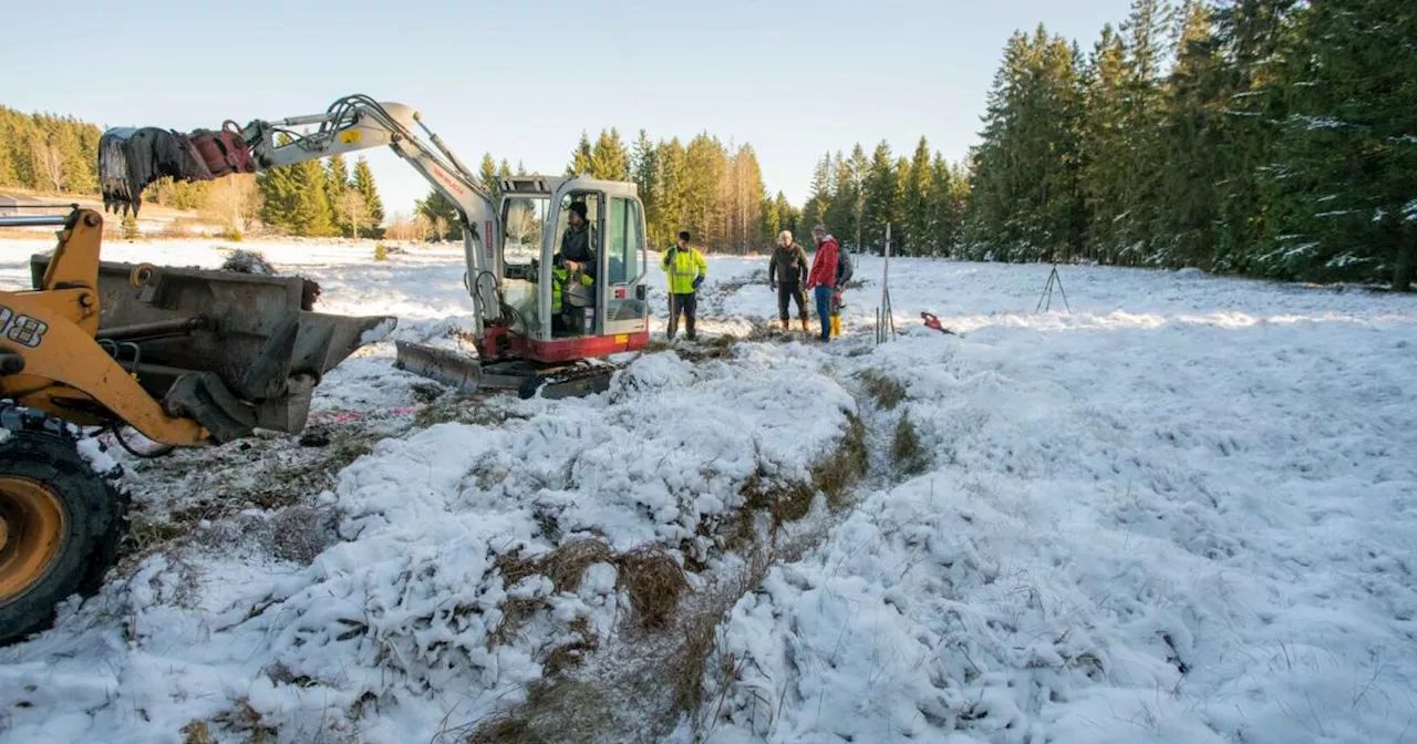 Waldviertler Moor in Langschlag restauriert