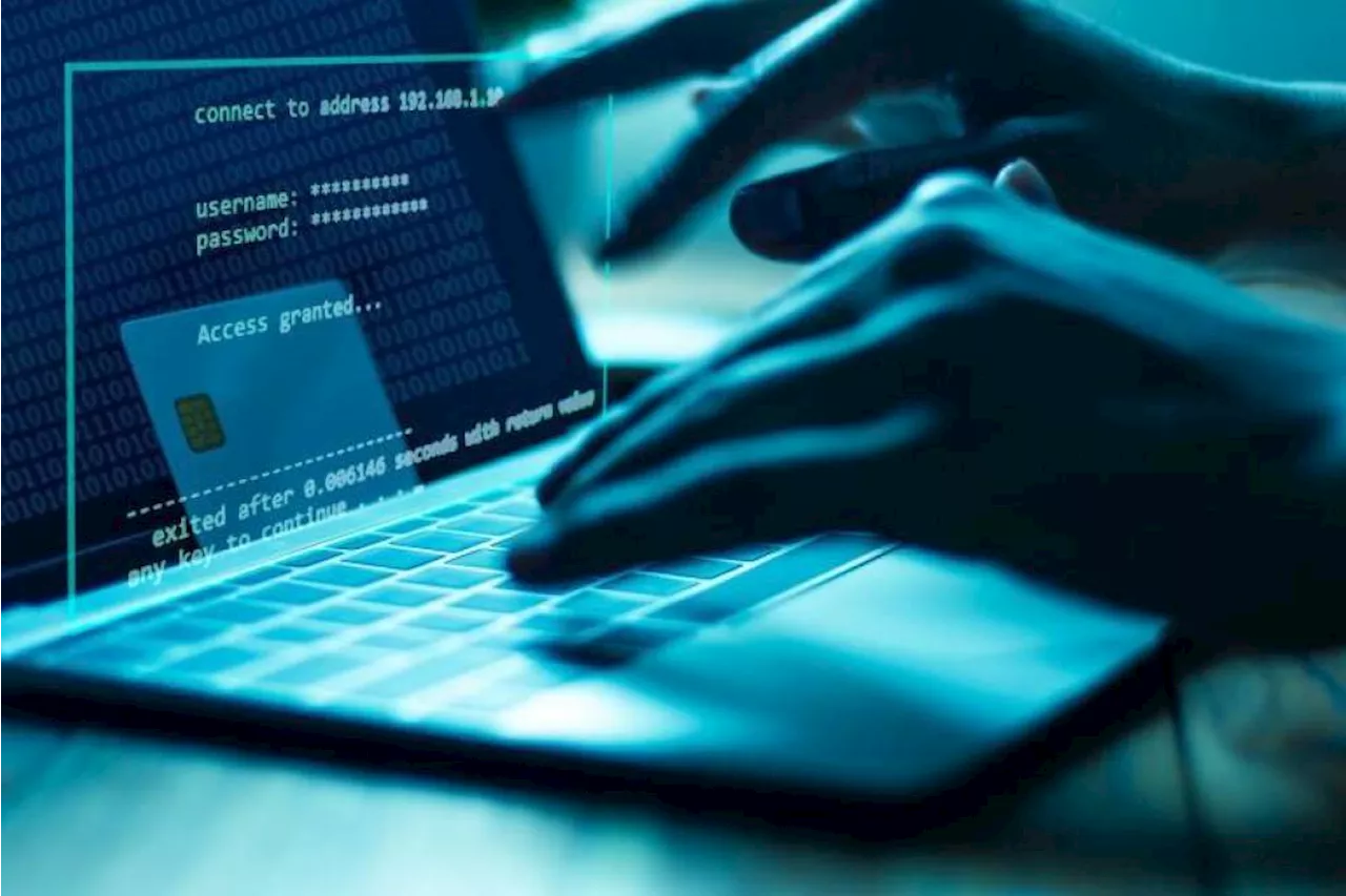Chef de réseau de hackers jugé à Paris en février