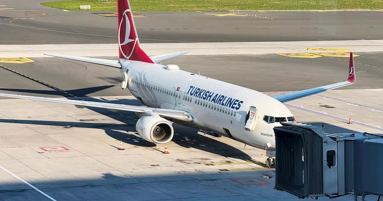 Les Punaises de Lit Envahissent les Avions Turkish Airlines