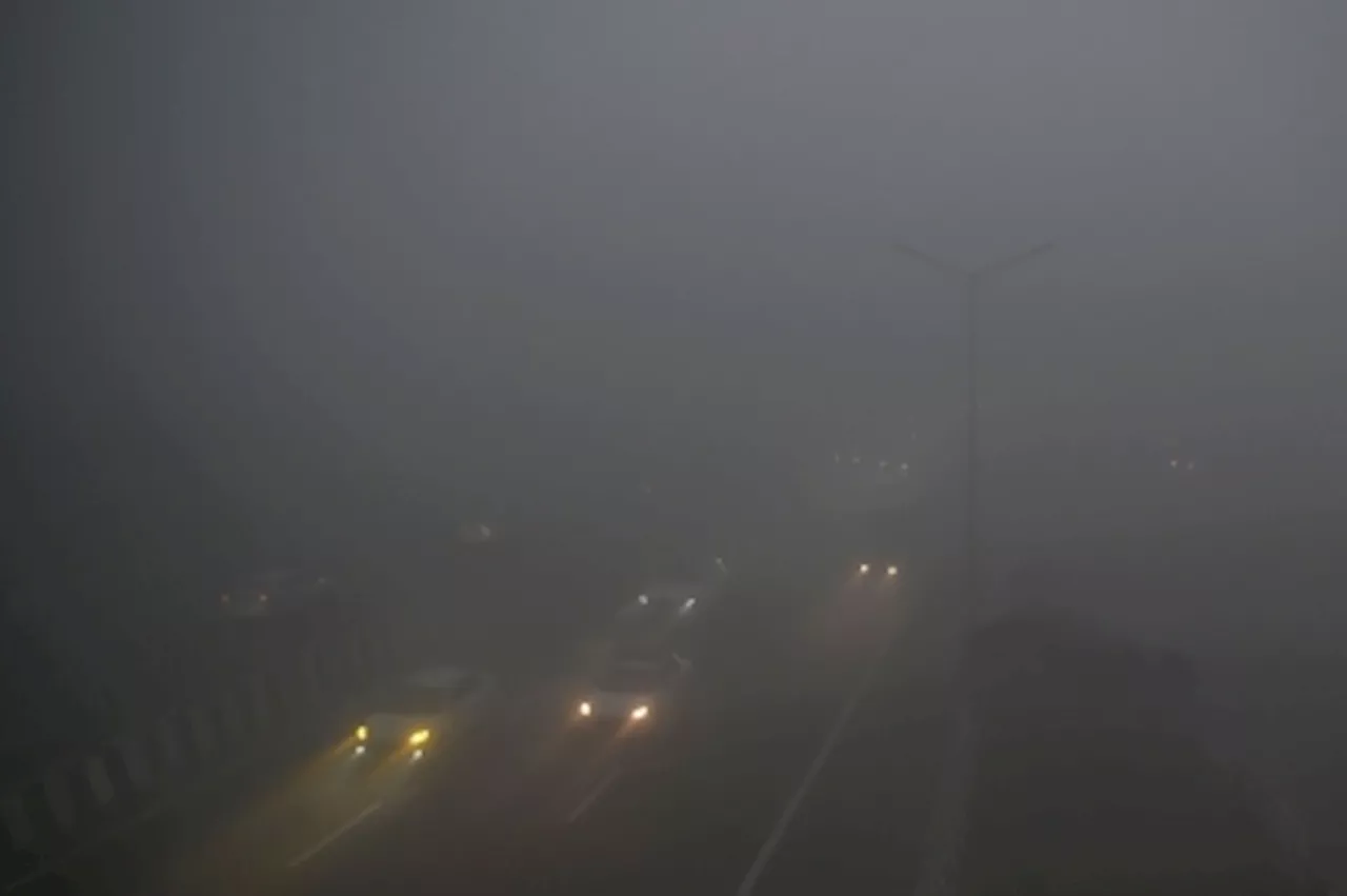 Dense winter fog rolls into Delhi, causes zero visibility, disrupts over 200 flights and 81 trains